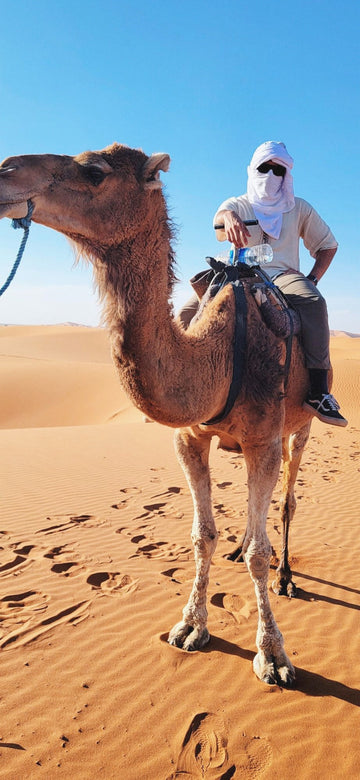 Desert Ride