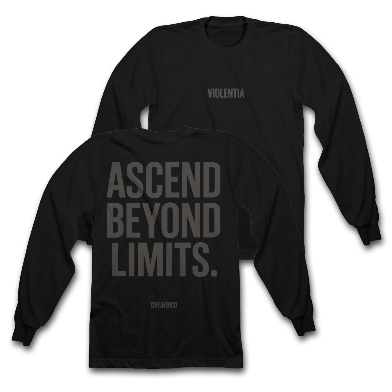 
                  
                    Ascend VIOLENTIA Heavyweight L/S Tees
                  
                