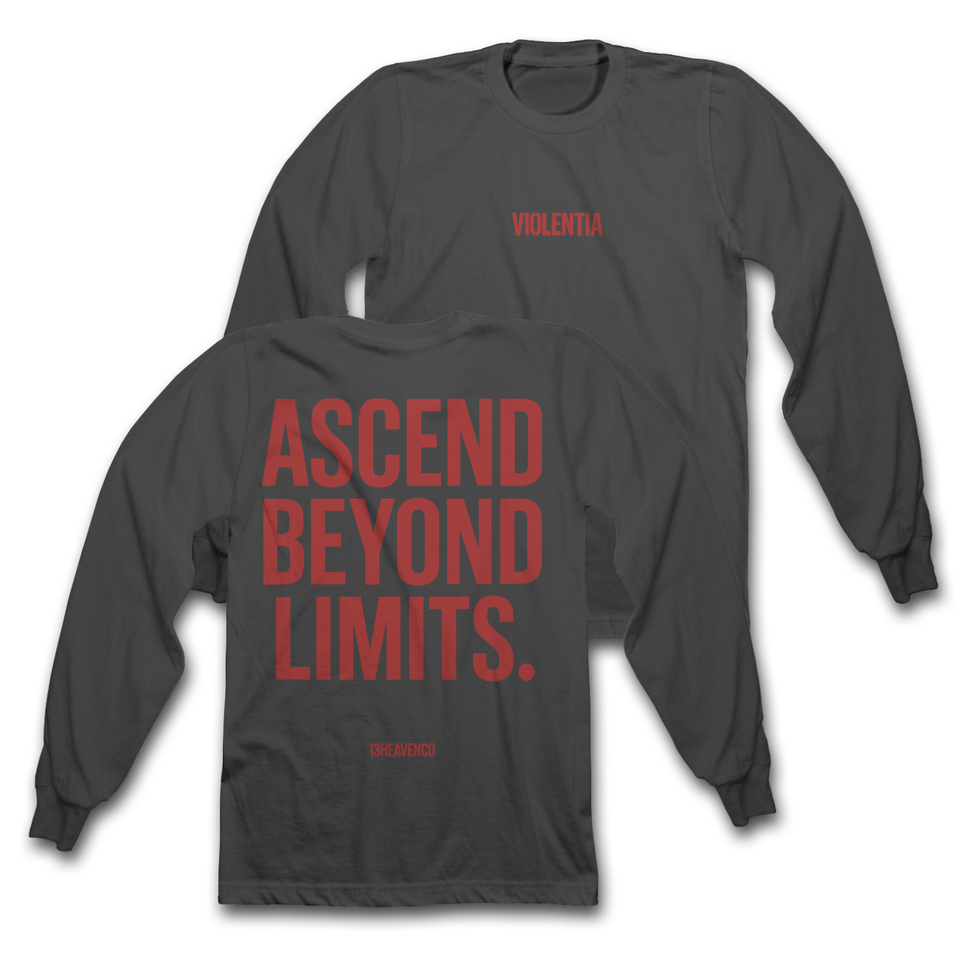 
                  
                    Ascend VIOLENTIA Heavyweight L/S Tees
                  
                
