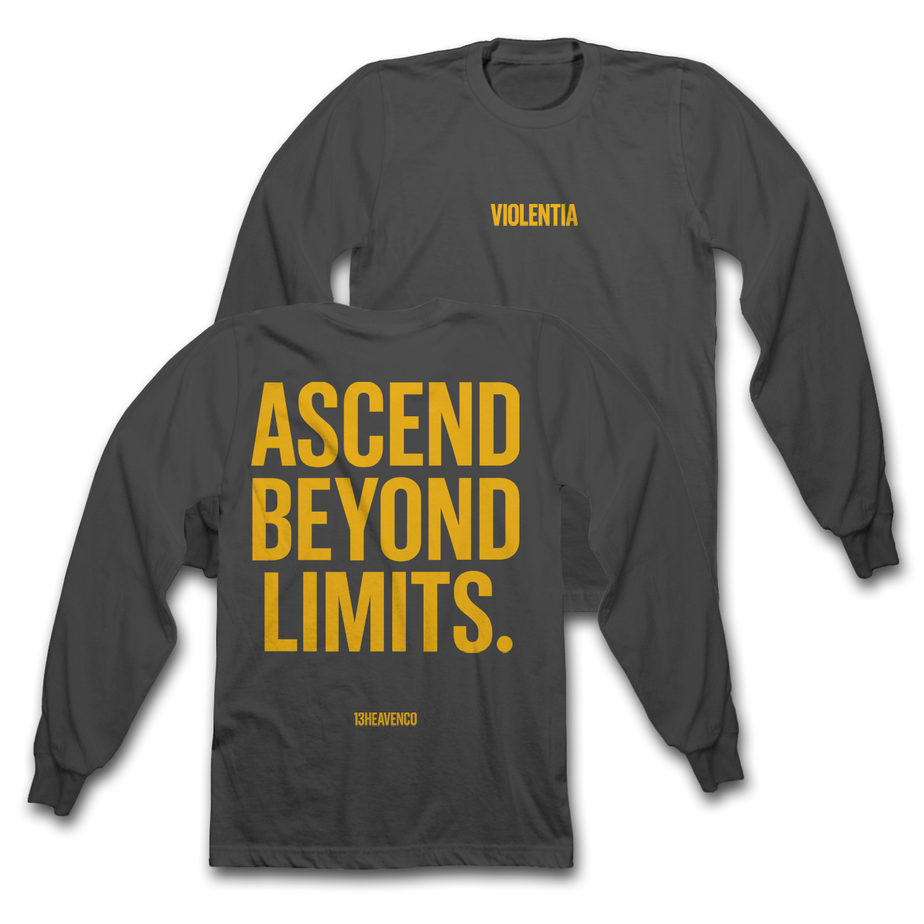 
                  
                    Ascend VIOLENTIA Heavyweight L/S Tees
                  
                