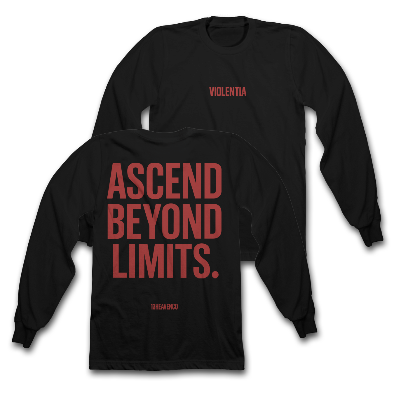 
                  
                    Ascend VIOLENTIA Heavyweight L/S Tees
                  
                